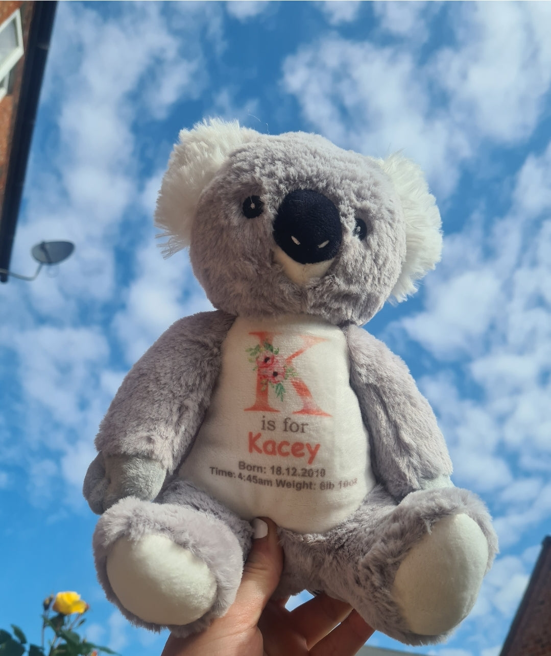 Personalised teddy